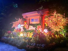 -夜间野生动物园