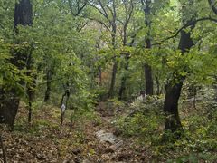 -吉林市朱雀山国家森林公园