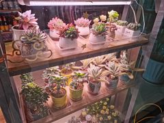 -中国石化十里河加油站