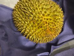 -AEON永旺(东方宝泰店)