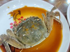 -红灯笼龙凤饭店(宁波老字号店)