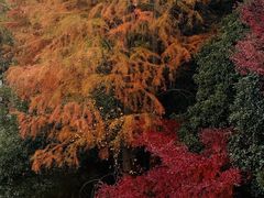 -雨花台烈士纪念馆