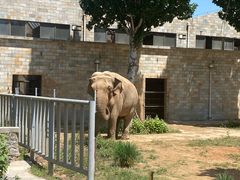 -石家庄市动物园