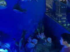 -陕西自然博物馆