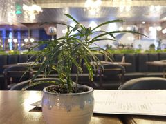 -FISH&POTATO Cō(地中海美食 万象城店)