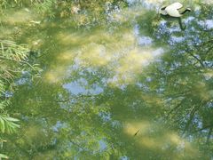 -河源客天下-温泉小镇