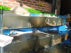 水产区-蟹谢蒸鲜自助餐厅