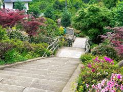 -南山植物园