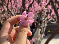 -恭王府博物馆