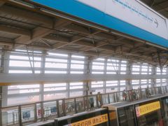 -龙眠大道(地铁站)