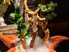 -蟹犇前•帝王蟹雪蟹(陆家嘴店)