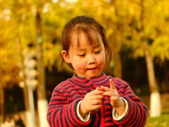 -重庆市江北嘴中央商务区中央公园