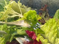 -LES ELITES 英集荟(南京西路店)