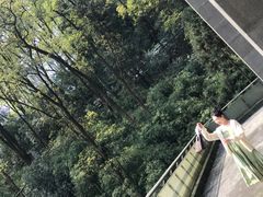 -南山植物园