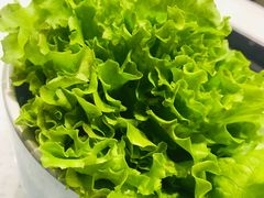 -韩时烤肉(丰科万达广场店)