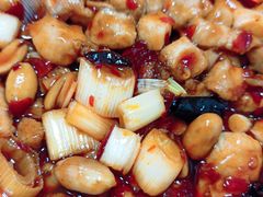 -大鸭梨烤鸭店(花园村店)