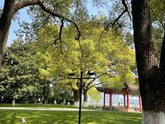 -无锡蠡湖国家湿地公园-蠡园