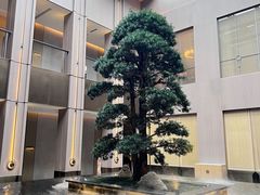 -外滩·云南人家(昆明旗舰店)