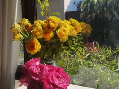 -春暖花开(西溪店)