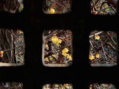-开福禅寺