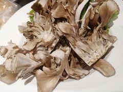-煲宫猪肚鸡(昆山金鹰国际购物中心店)