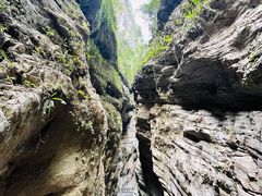 -龙水峡地缝景区