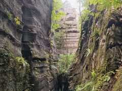 -梭布垭石林景区