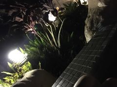 -深圳东部华侨城茵特拉根酒店