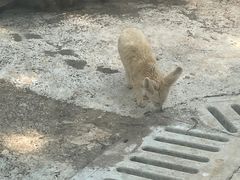 -昆明动物园