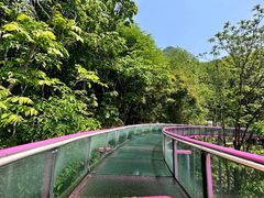 -帽儿山风景区