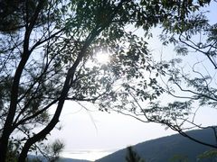 -雨花胜境