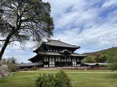 -奈良公园