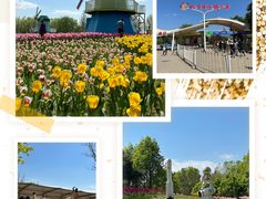 -北京国际鲜花港