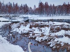 -北龙湖湿地公园