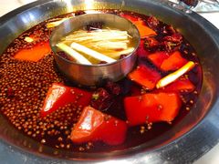 -孙毛肚火锅(春熙路店)