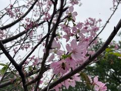 -文华公园(禅城区)