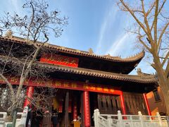 -灵谷景区