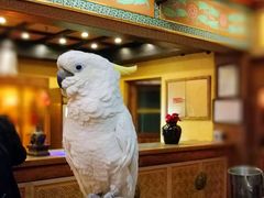 -那家小馆•北京菜•烤鸭(香山店)