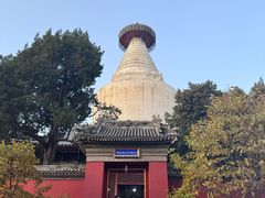 -妙应寺白塔