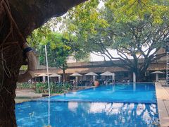 -喜洲吧·江畔老船厂·庭院餐厅(喜临院店)