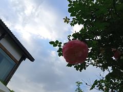 -白鹭湾湿地公园