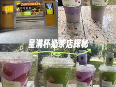 -星满杯TEAFUL(罗湖东门店)