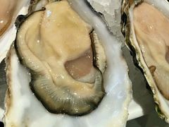 -Oyster Talks 四度蚝法餐厅