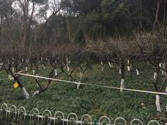 -赭山公园
