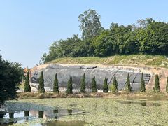 -三水森林公园