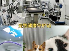 -御宝贝24h宠物医院·转诊中心·CT核磁血透中心(厦门总院)