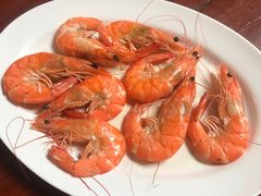 -绿光森林餐厅