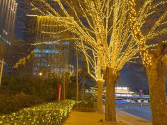 -北京康莱德酒店