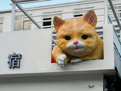 -何适山庄·团餐住宿(水长城P2停车场店)