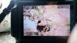 -梦摄影少女写真馆(麦凯乐国际公寓A座店)